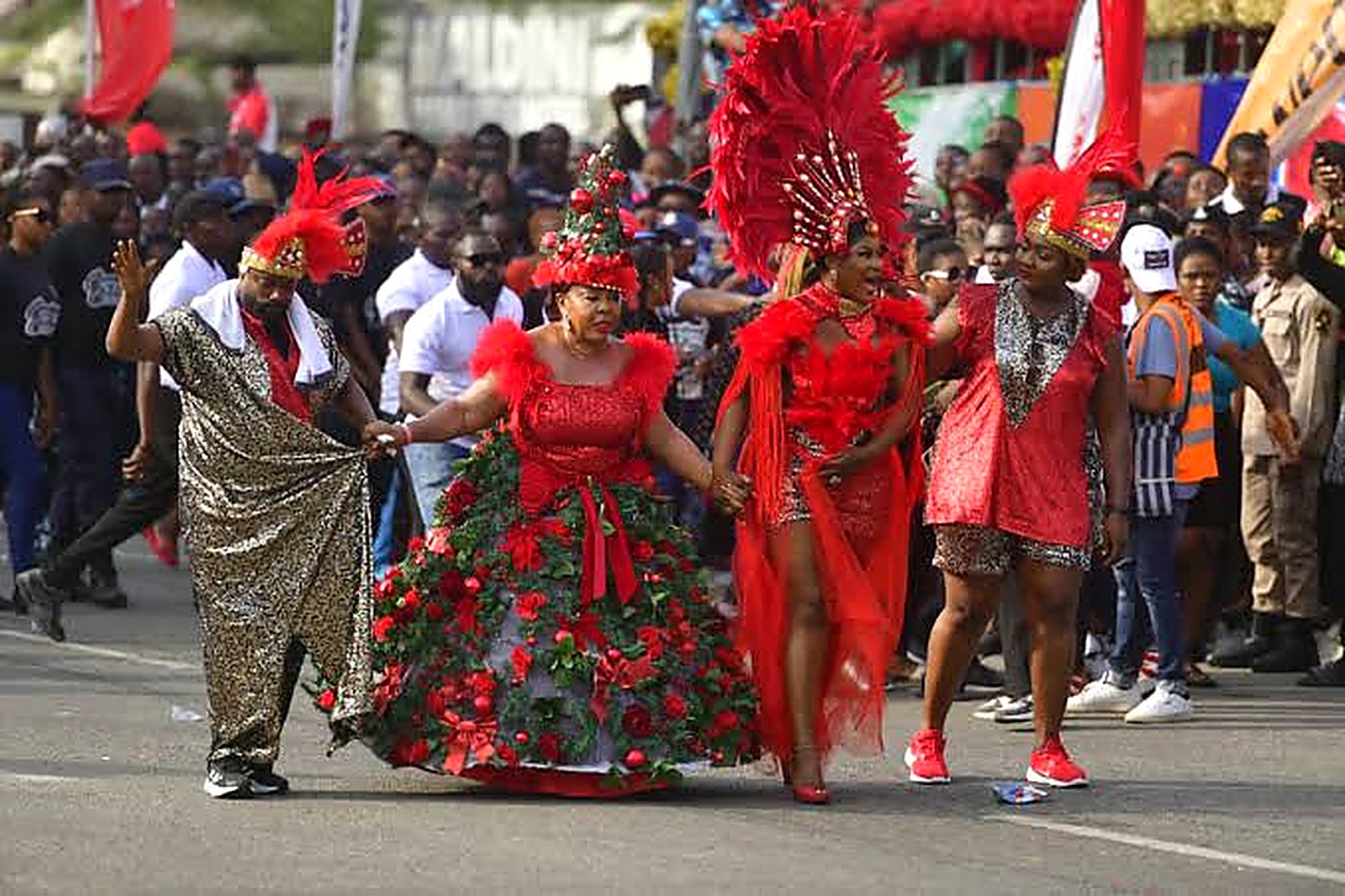 Seagull Band costume in the Calabar Carnival parade