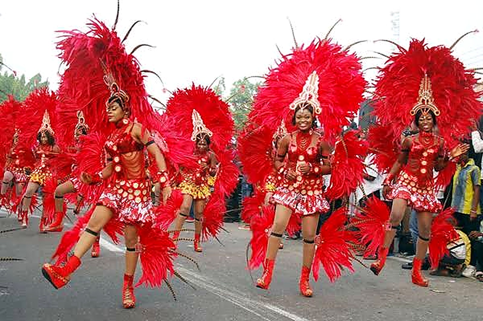 Seagull Band troupe lined up in costume